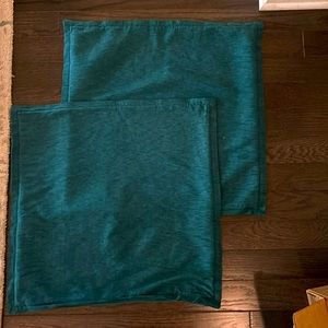 Set of 2 Beautiful NEW never used CB pillow covers.